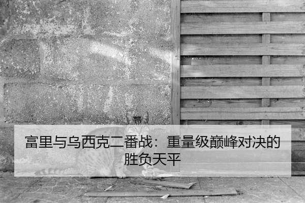 富里与乌西克二番战：重量级巅峰对决的胜负天平