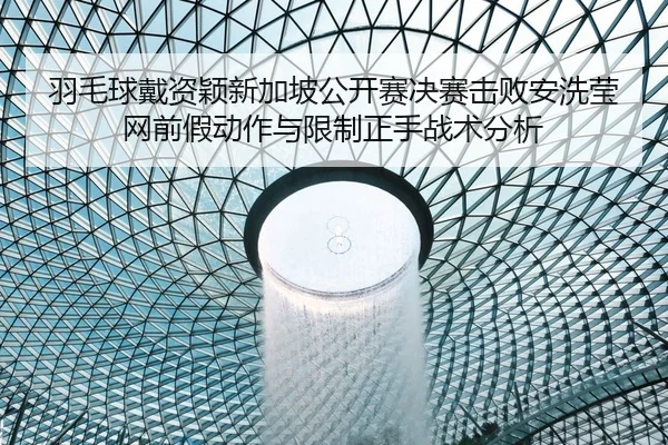 yu-mao-qiu-dai-zi-ying-xin-jia-po-gong-kai-sai-jue-sai-ji-bai-an-xi-ying-wang-qian-jia-dong-zuo-yu-xian-zhi-zheng-shou-2-664.jpg